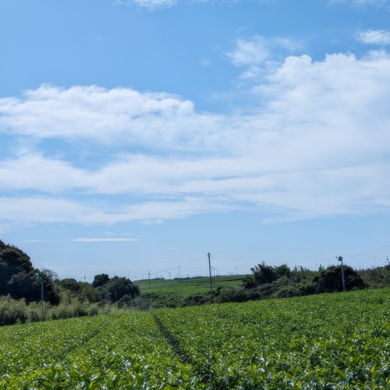 ぬっくさんが投稿した東海自然歩道に関する口コミの画像