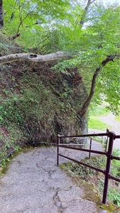 鬼怒川ライン下り
