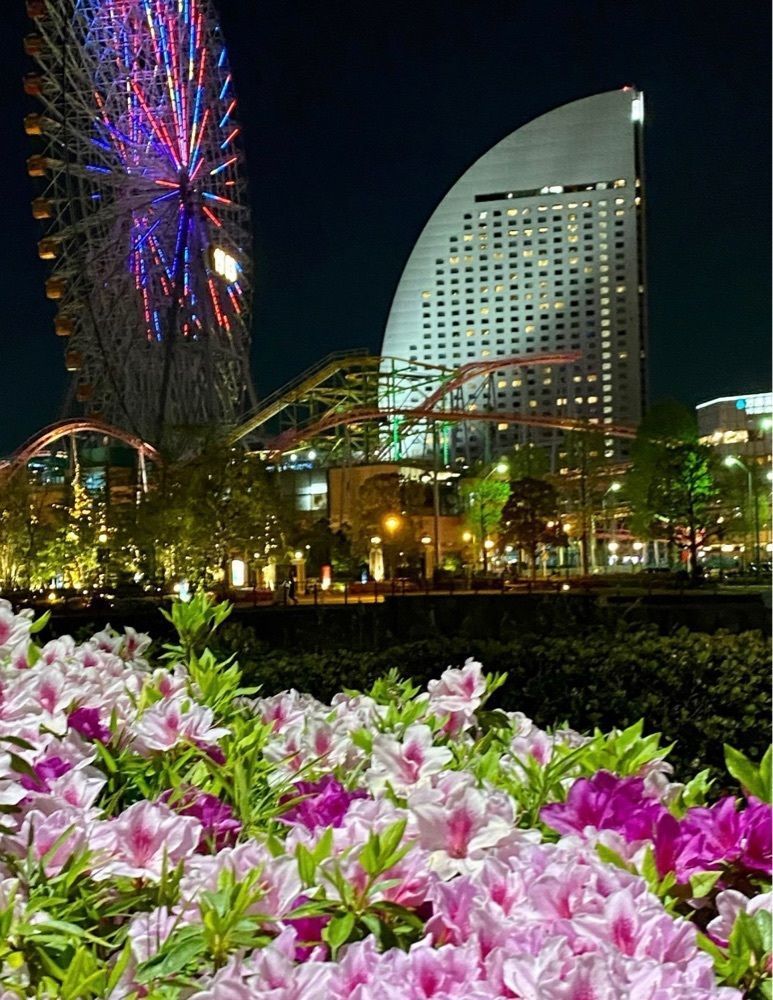 Annashuna0830さんが投稿した画像の画像