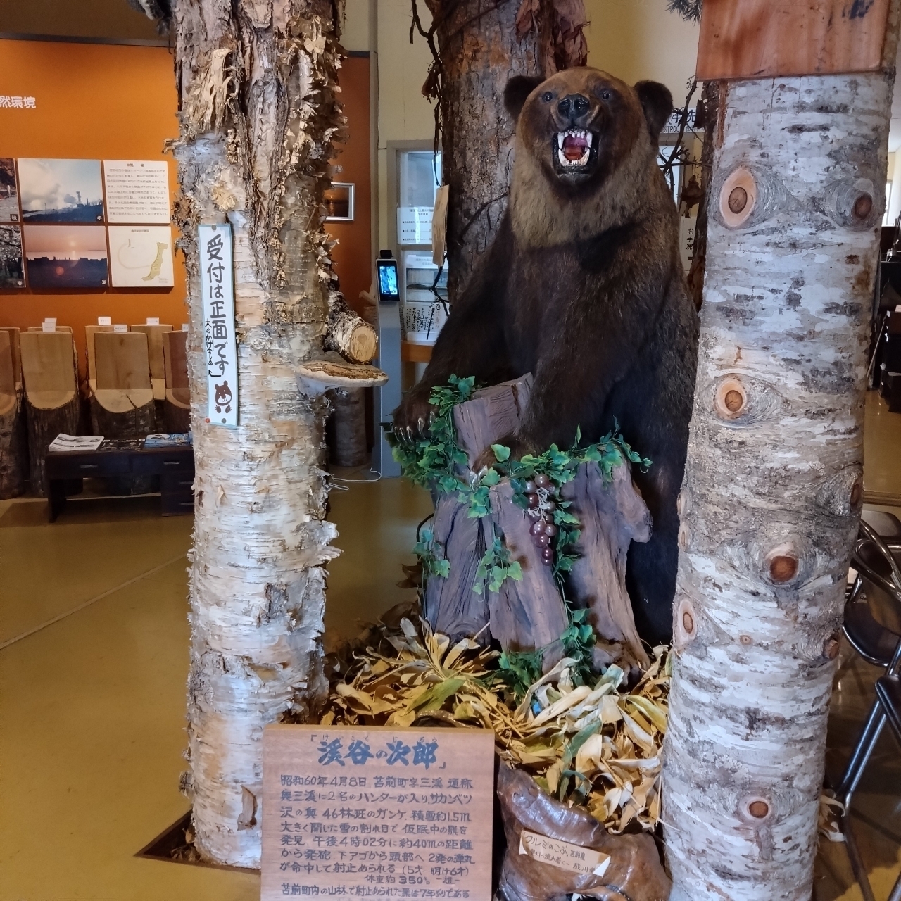 北海道大臣さんが投稿した苫前町郷土資料館に関する口コミの画像