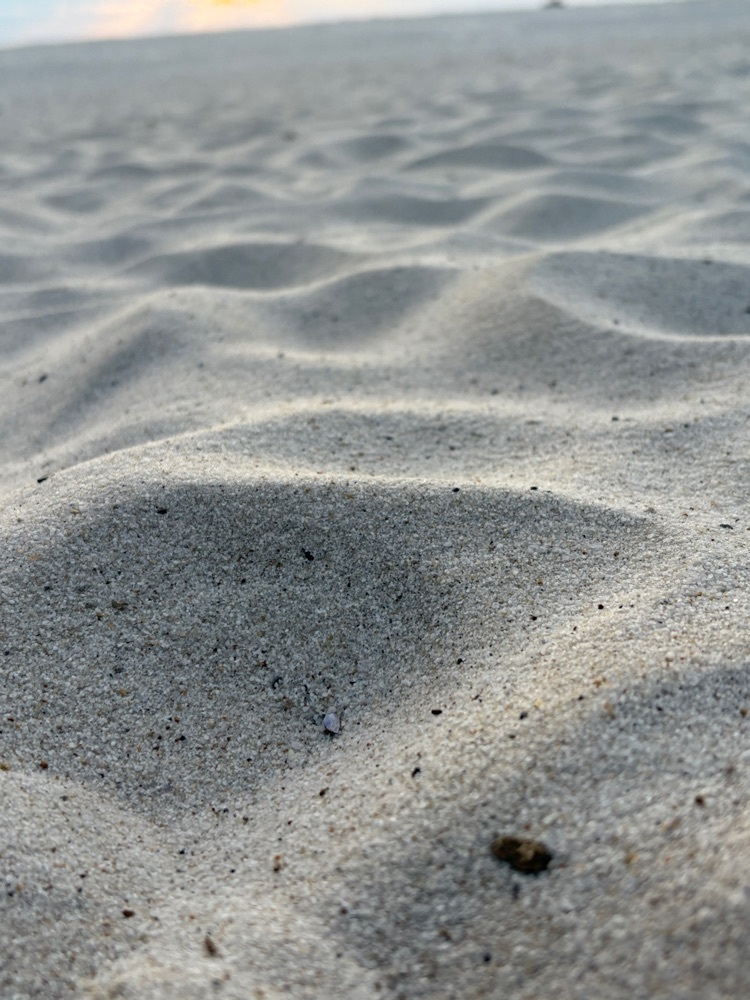 ラリホーさんが投稿した南紀白浜温泉に関する口コミの画像