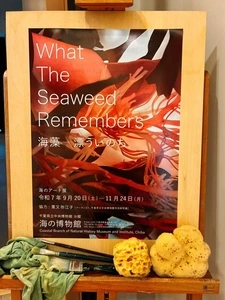 千葉県立中央博物館分館海の博物館