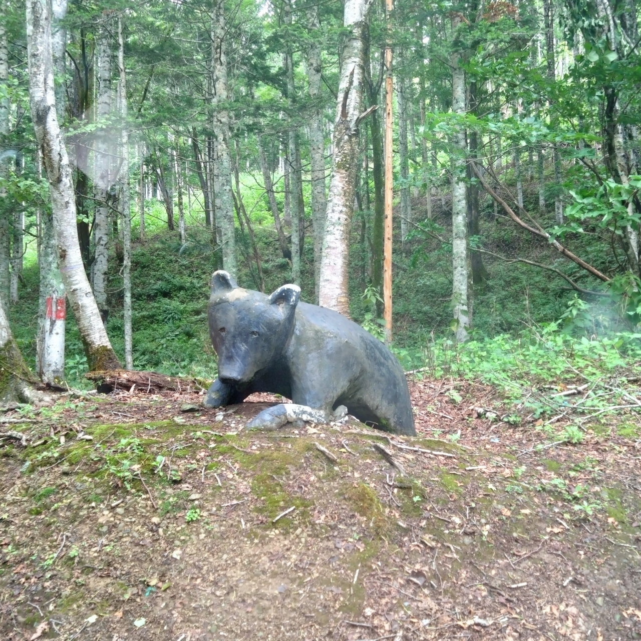 北海道大臣さんが投稿した三毛別羆事件復元跡地に関する口コミの画像