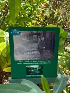 北川村「モネの庭」マルモッタン