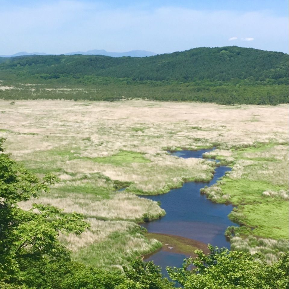 yoshiさんが投稿したコッタロ湿原展望台に関する口コミの画像