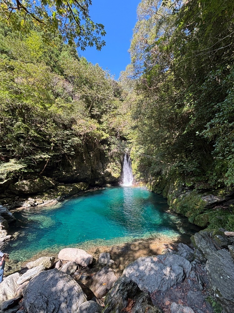 それなはとけさんが投稿した屋形船仁淀川に関する口コミの画像