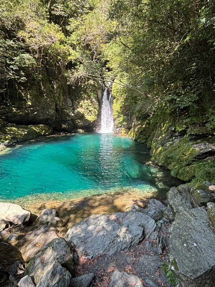 それなはとけさんが投稿した屋形船仁淀川に関する口コミの画像