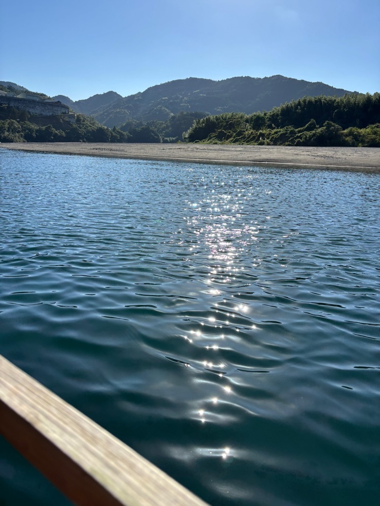 それなはとけさんが投稿した屋形船仁淀川に関する口コミの画像