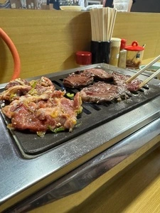 蒙古園