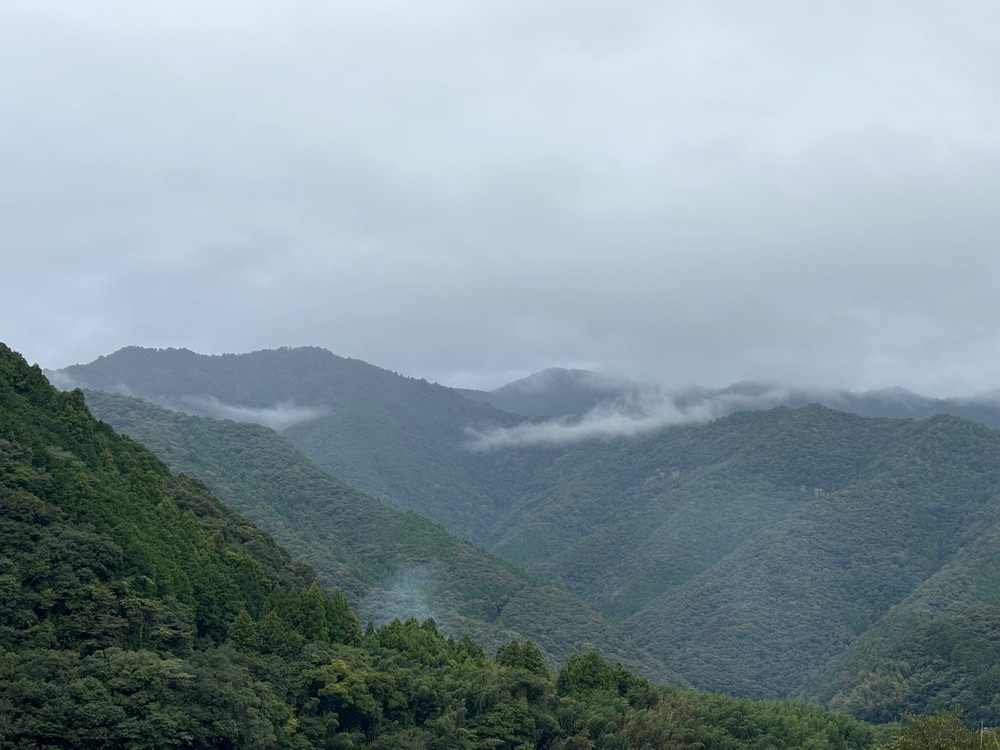 それなはとけさんが投稿した土佐和紙工芸村　くらうどに関する口コミの画像
