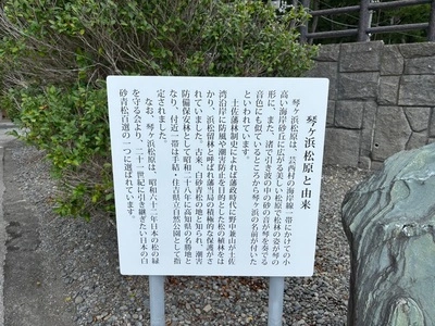 琴ケ浜