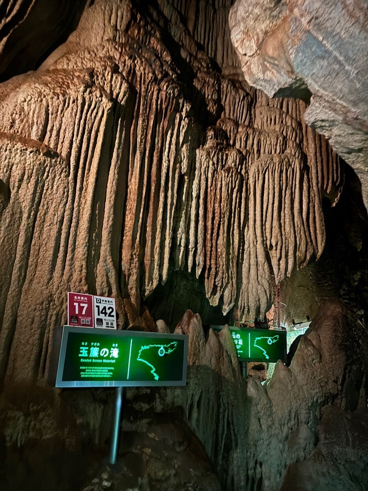 それなはとけさんが投稿した龍河洞に関する口コミの画像