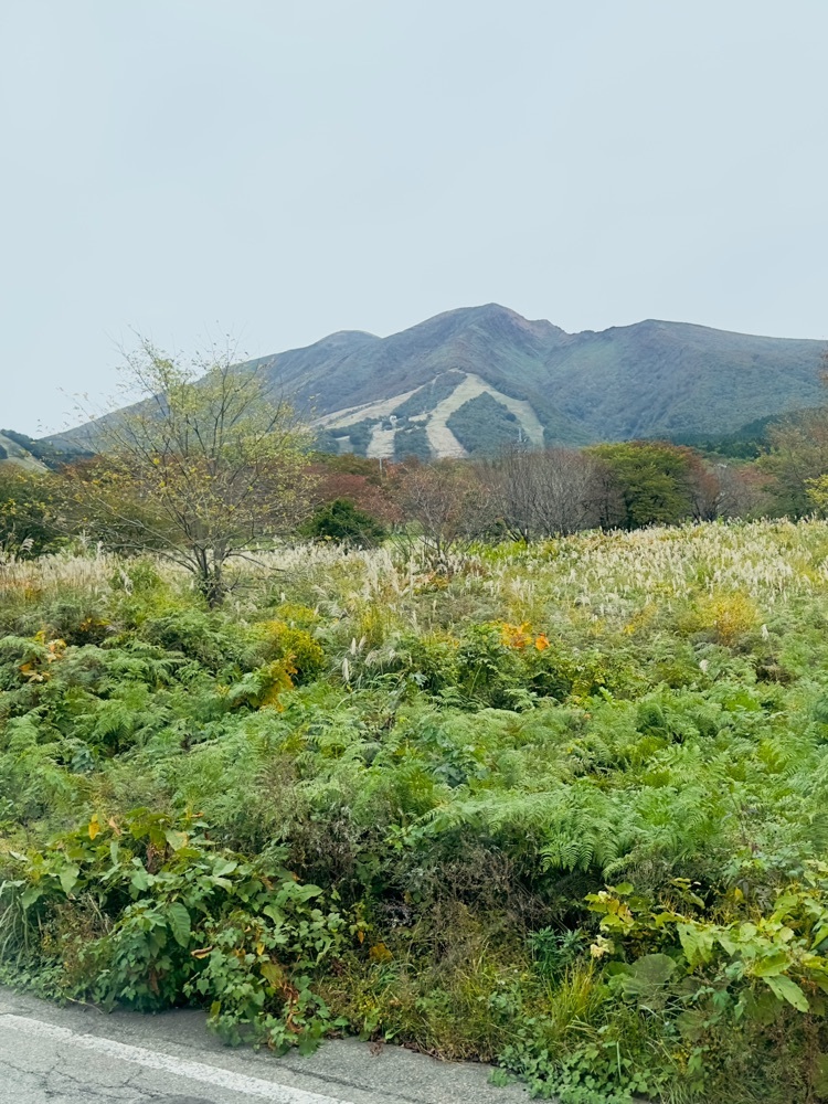 かめ_メグミさんが投稿した田沢湖高原に関する口コミの画像