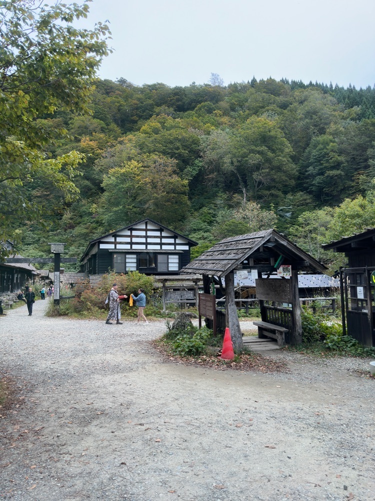 かめ_メグミさんが投稿した田沢湖高原に関する口コミの画像