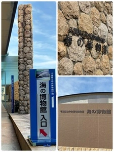 千葉県立中央博物館分館海の博物館