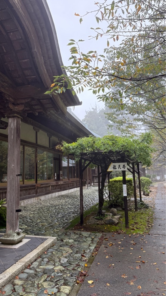 みぃさんが投稿した第21番札所 太龍寺に関する口コミの画像