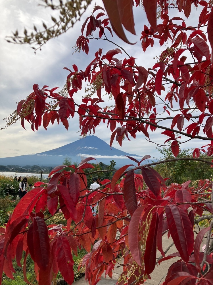 Nさんが投稿した河口湖自然生活館に関する口コミの画像