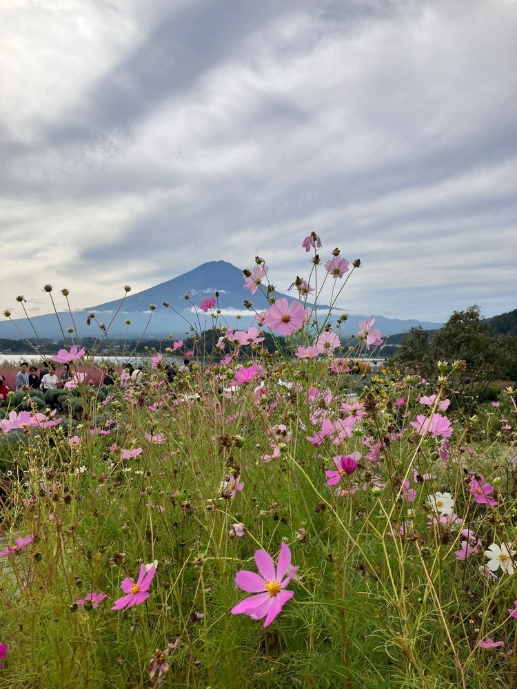 Nさんが投稿した河口湖自然生活館に関する口コミの画像