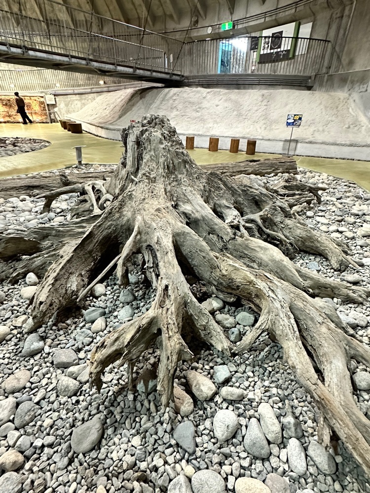 BOM-BA-YEさんが投稿した魚津埋没林博物館に関する口コミの画像