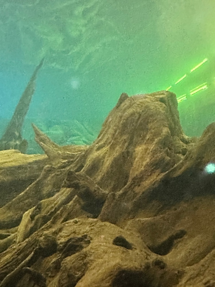BOM-BA-YEさんが投稿した魚津埋没林博物館に関する口コミの画像
