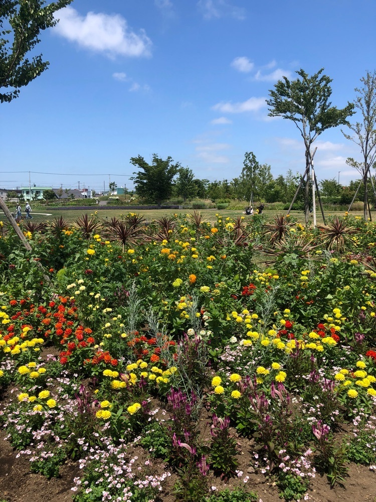 gakky29さんが投稿した道の駅 花ロードえにわに関する口コミの画像