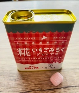 道の駅 発酵の里こうざき