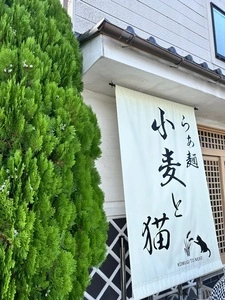 らぁ麺 小麦と猫
