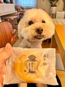 柏屋 大塚店