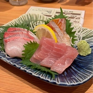 ネコにマタタビ 名駅店