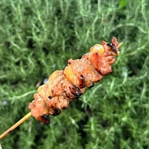 牧野生鳥鶏肉問屋