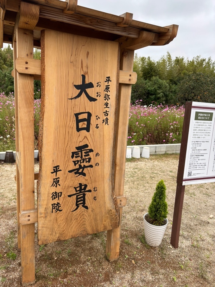 luckyさんが投稿した平原歴史公園に関する口コミの画像
