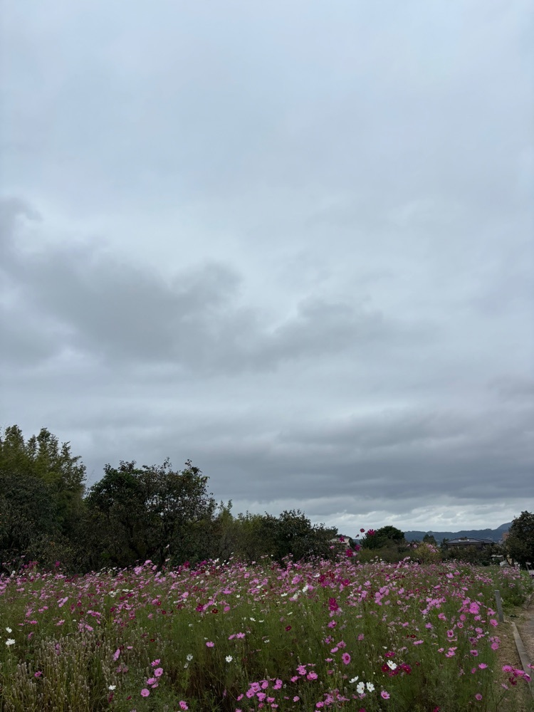 luckyさんが投稿した平原歴史公園に関する口コミの画像
