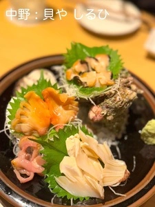 貝や しるひ