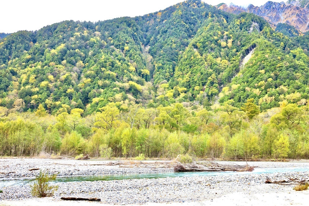 まさまさ　さまさんが投稿した上高地に関する口コミの画像
