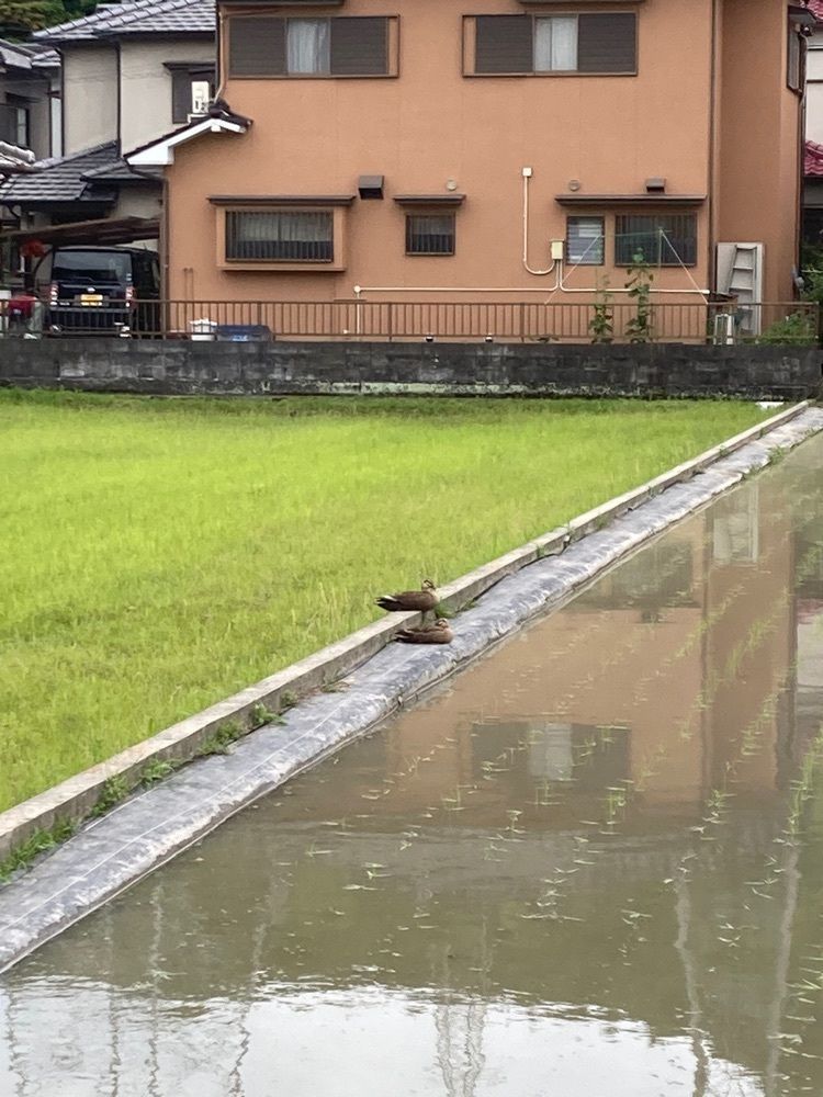 joyful_tourismさんが投稿した播磨高岡駅に関する口コミの画像