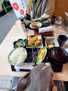 麻布 あみ城