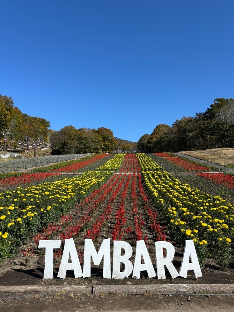 それなはとけさんが投稿したたんばらキッチン（TANBARA Kitchen）に関する口コミの画像