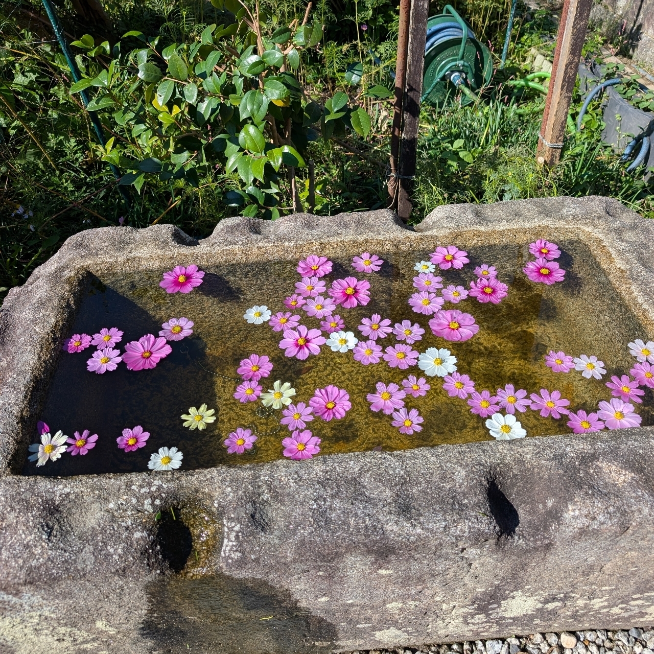 ぬっくさんが投稿した般若寺楼門に関する口コミの画像