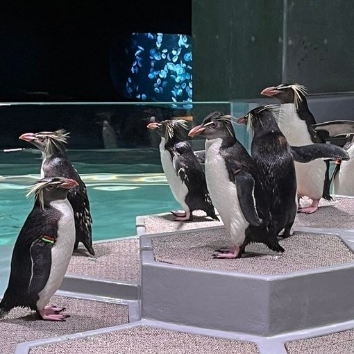 北海道大臣さんが投稿したAOAO SAPPOROに関する口コミの画像