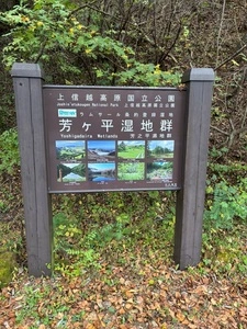 チャツボミゴケ公園