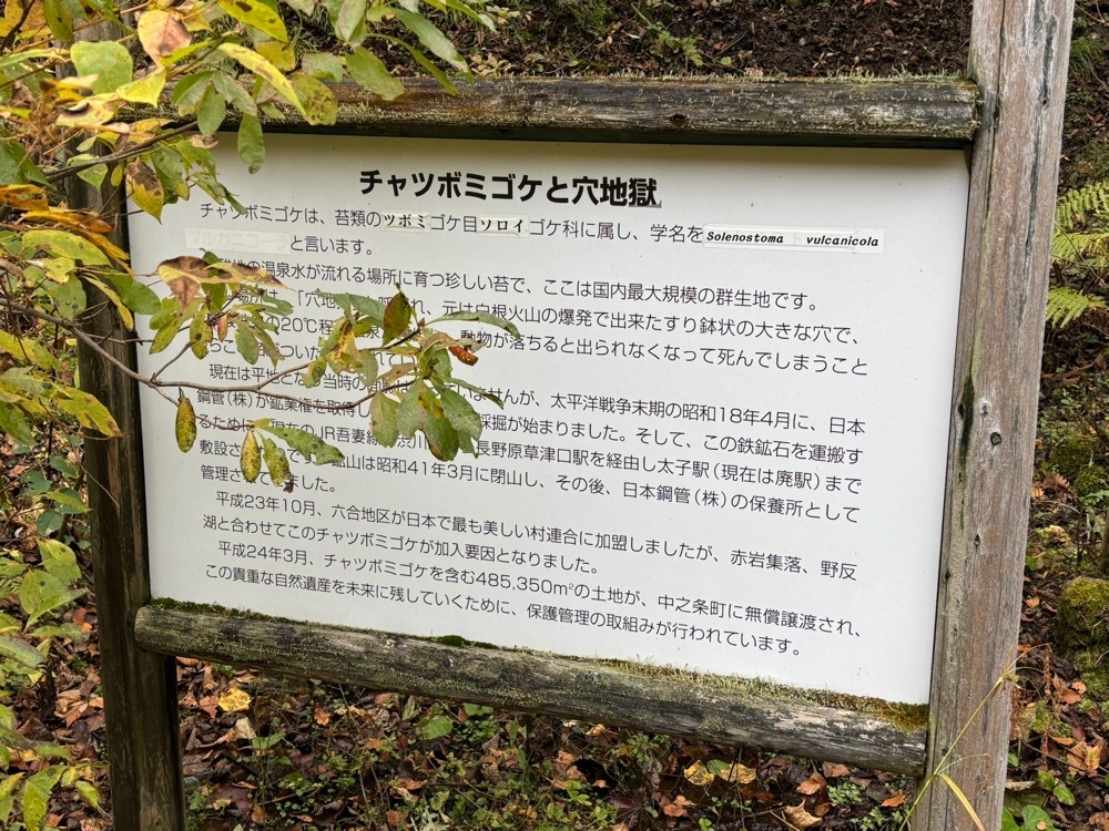 それなはとけさんが投稿したチャツボミゴケ公園に関する口コミの画像