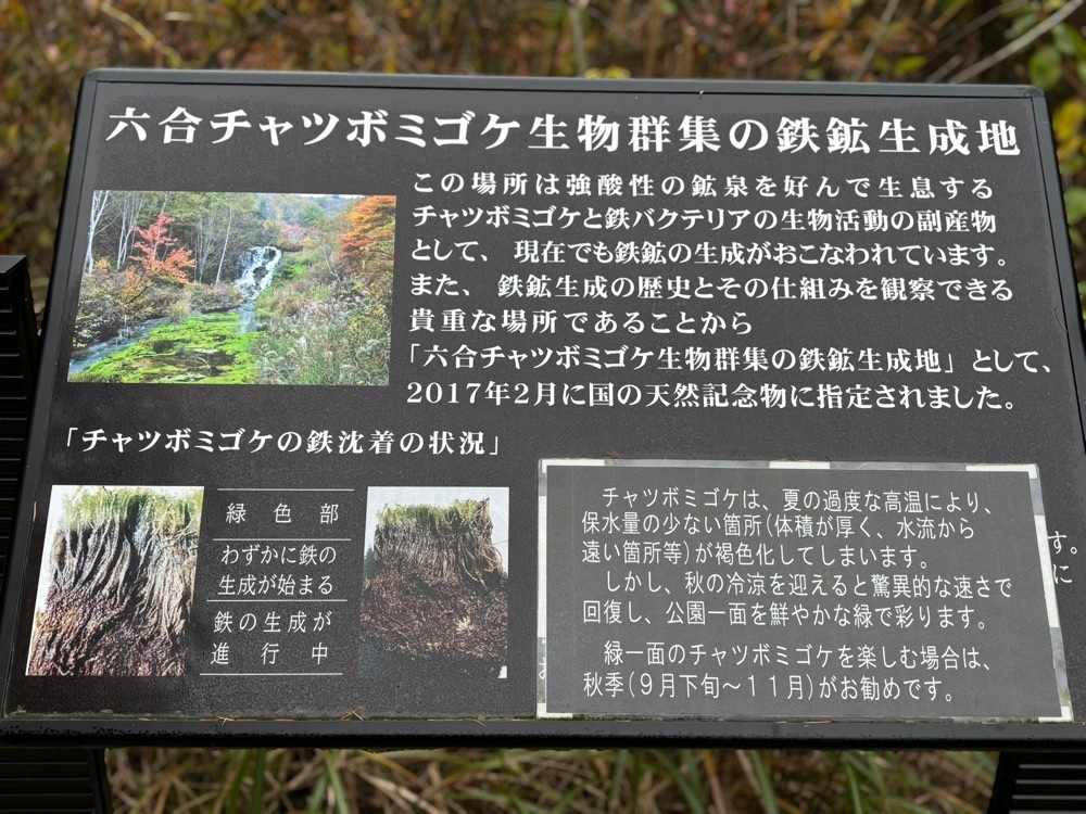 それなはとけさんが投稿したチャツボミゴケ公園に関する口コミの画像