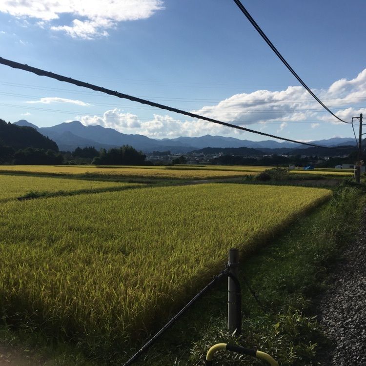 coco07さんが投稿した草津温泉 望雲 に関する口コミの画像