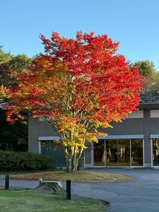ファミリーマート 軽井沢プリンスホテルウエスト店（FamilyMart）