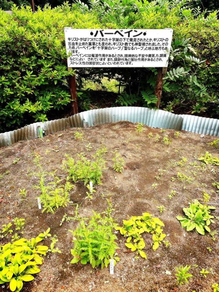 猫なぎ。さんが投稿したキリストの里伝承館に関する口コミの画像