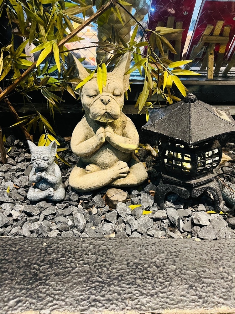 東京食べあルークさんが投稿した入鹿TOKYO 六本木（イルカトウキョウ）に関する口コミの画像