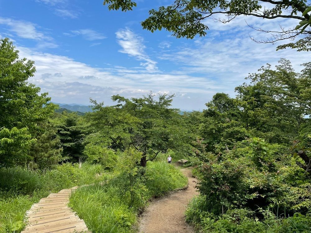 modernさんが投稿した陣馬山頂　清水茶屋に関する口コミの画像