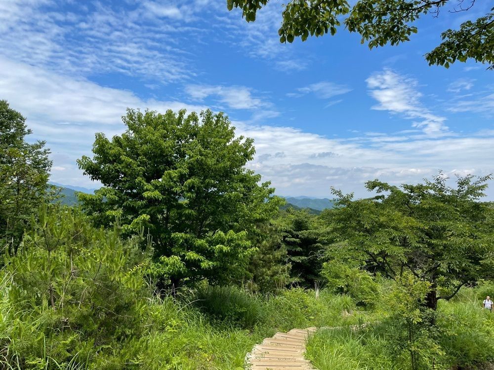 modernさんが投稿した陣馬山頂　清水茶屋に関する口コミの画像