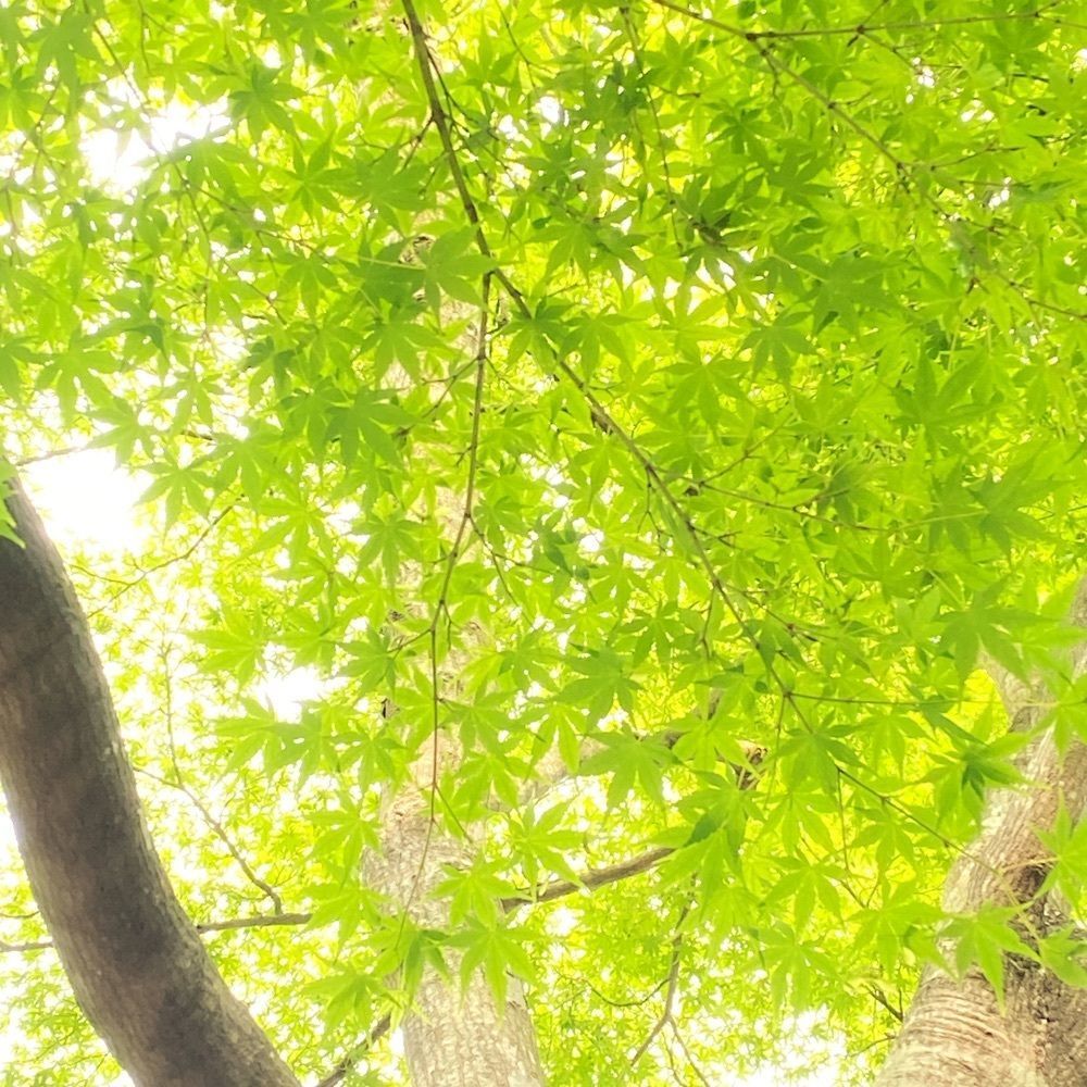 Musashiさんが投稿した汐のやに関する口コミの画像