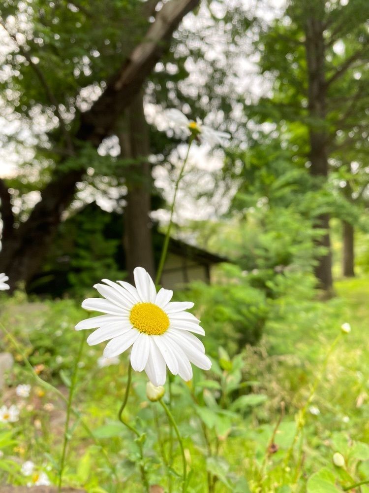 Musashiさんが投稿した汐のやに関する口コミの画像